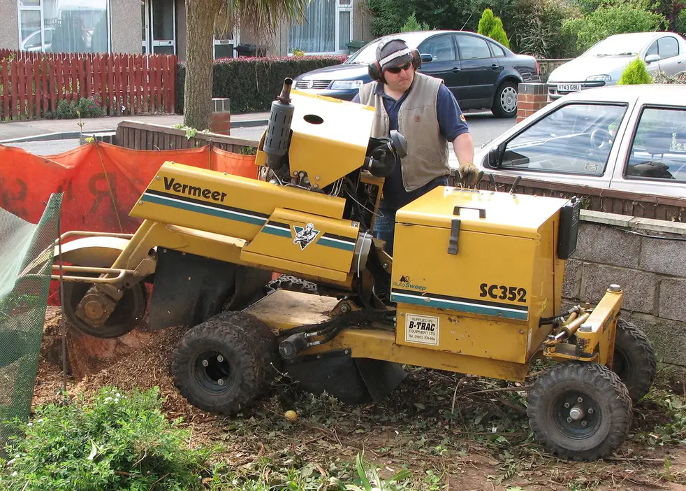 Stump grinder cutting a tree stump down below grade, the kind of job dispatched to licensed local crews in Crawfordville, FL