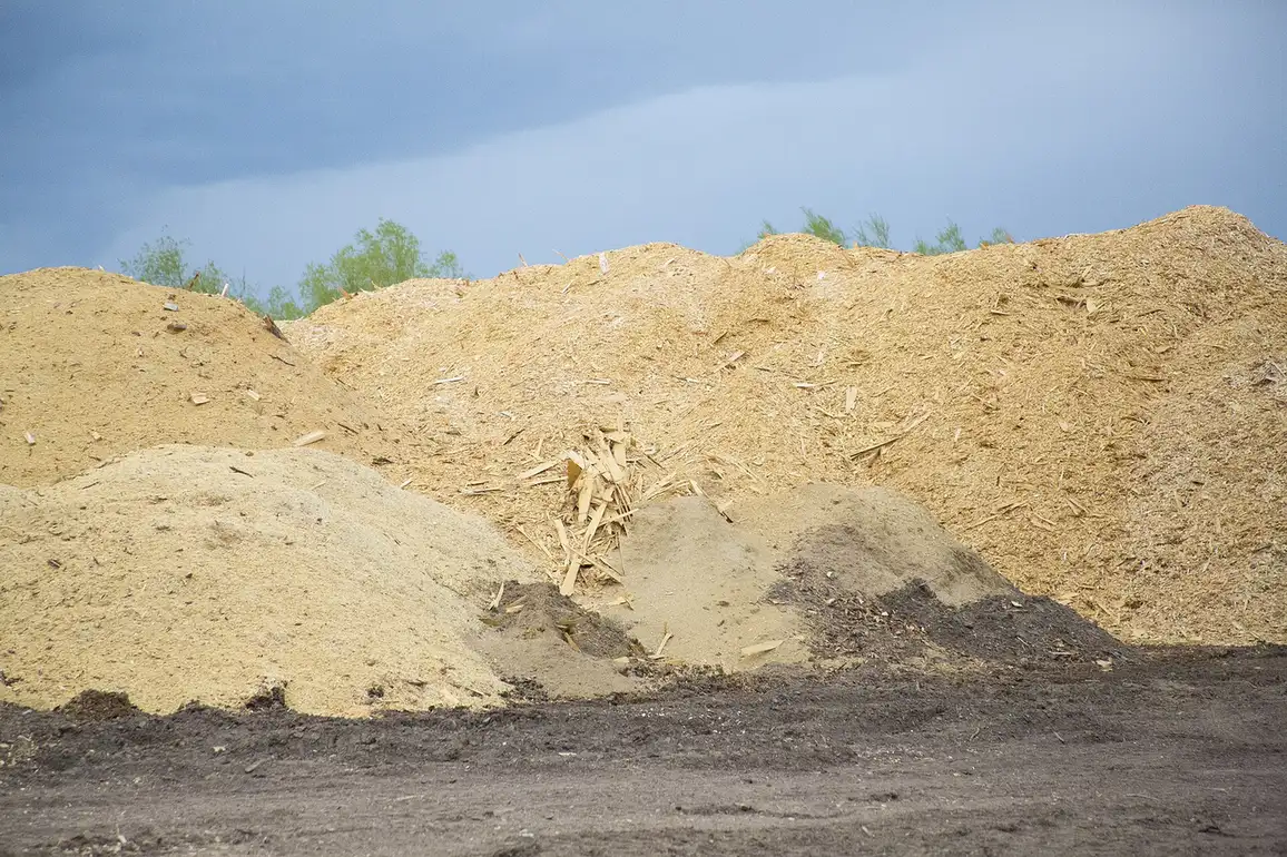 Wood chips left behind after a stump is ground out, the finish a licensed local crew leaves in Thomasville, GA