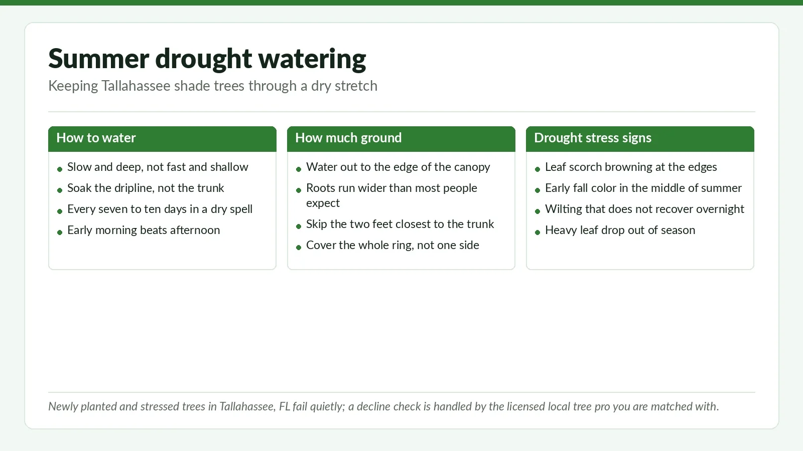 Three-panel reference chart on summer drought watering for Tallahassee, FL shade trees: how to water, how much ground to cover, and drought stress signs