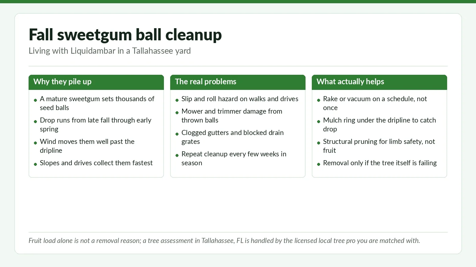 Three-panel reference chart on fall sweetgum ball cleanup in Tallahassee, FL: why the seed balls pile up, the hazards they create, and what actually helps