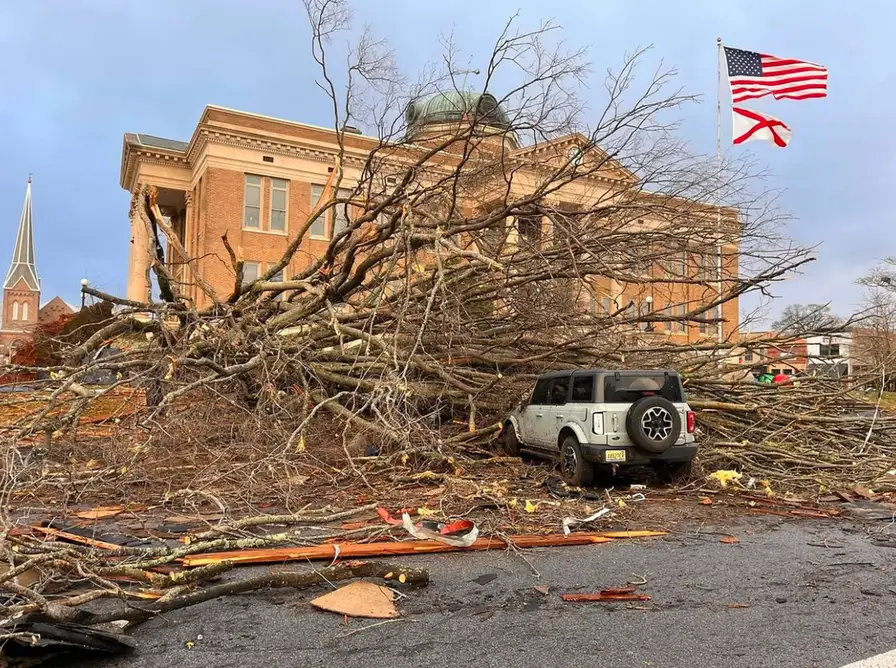 Tree down across a house roof, the situation that counts as a true tree emergency in Tallahassee, FL