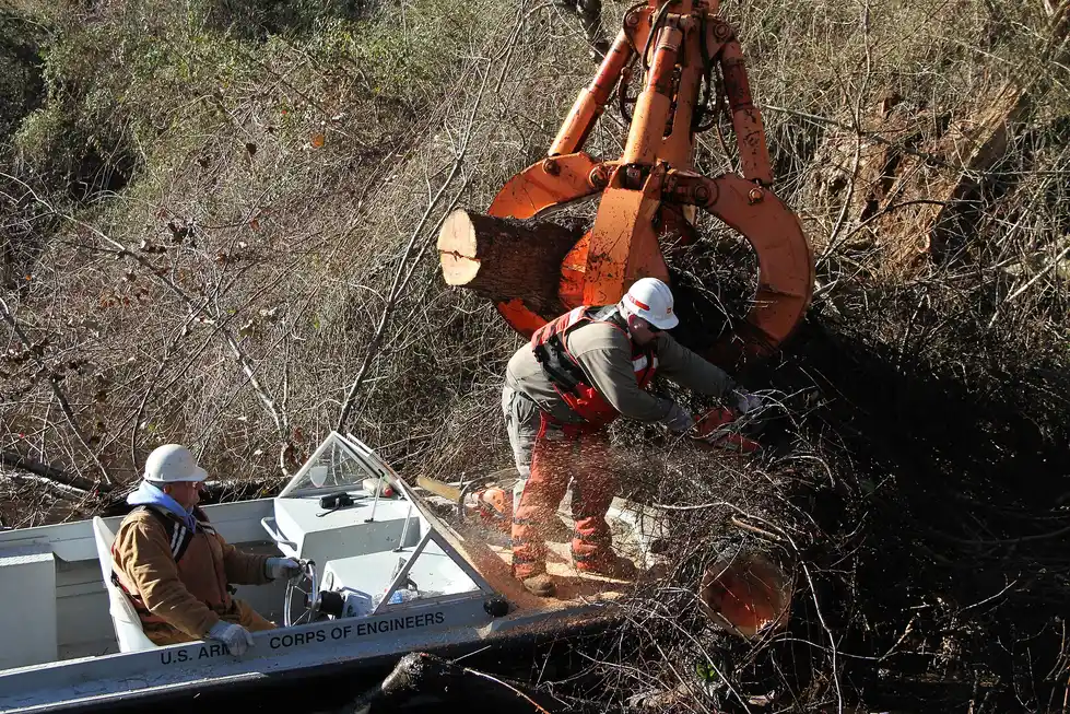 Mechanized grapple lifting cut tree sections, one of the equipment factors that changes removal scope by tree type in Tallahassee, FL