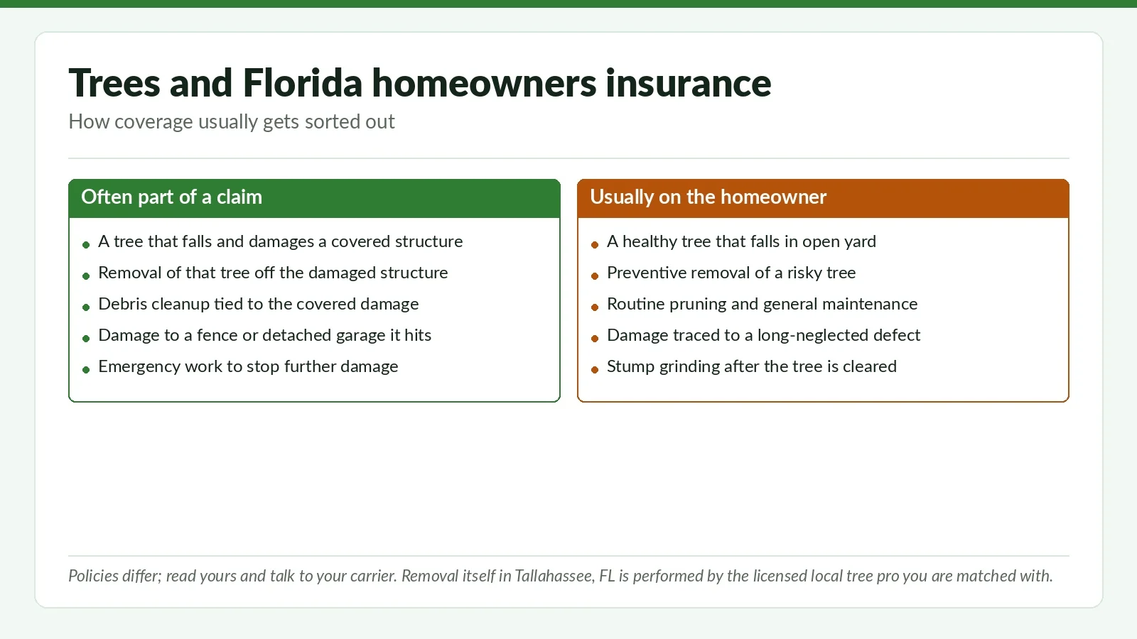 When Is Tree Removal Covered by Homeowner's Insurance? (Florida Focus) - Tallahassee Tree Service Side-by-side reference chart on Florida homeowners insurance and trees, showing what is often part of a claim versus what usually falls to the homeowner