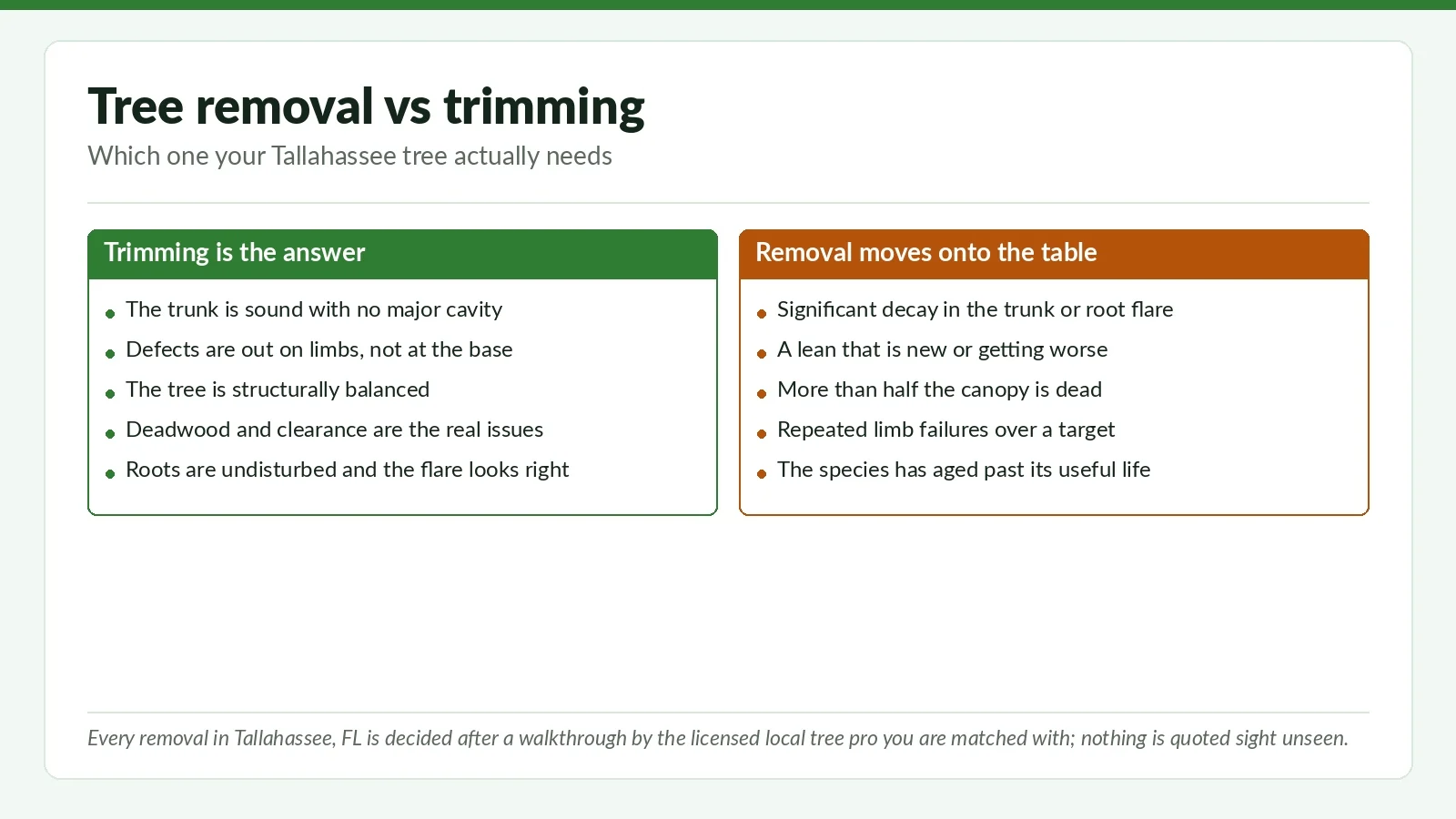 Tree Removal vs Trimming Tallahassee — Decision Guide 2026 - Tallahassee Tree Service Side-by-side decision chart on whether a Tallahassee, FL tree needs trimming or removal, based on trunk condition, lean, canopy loss and species