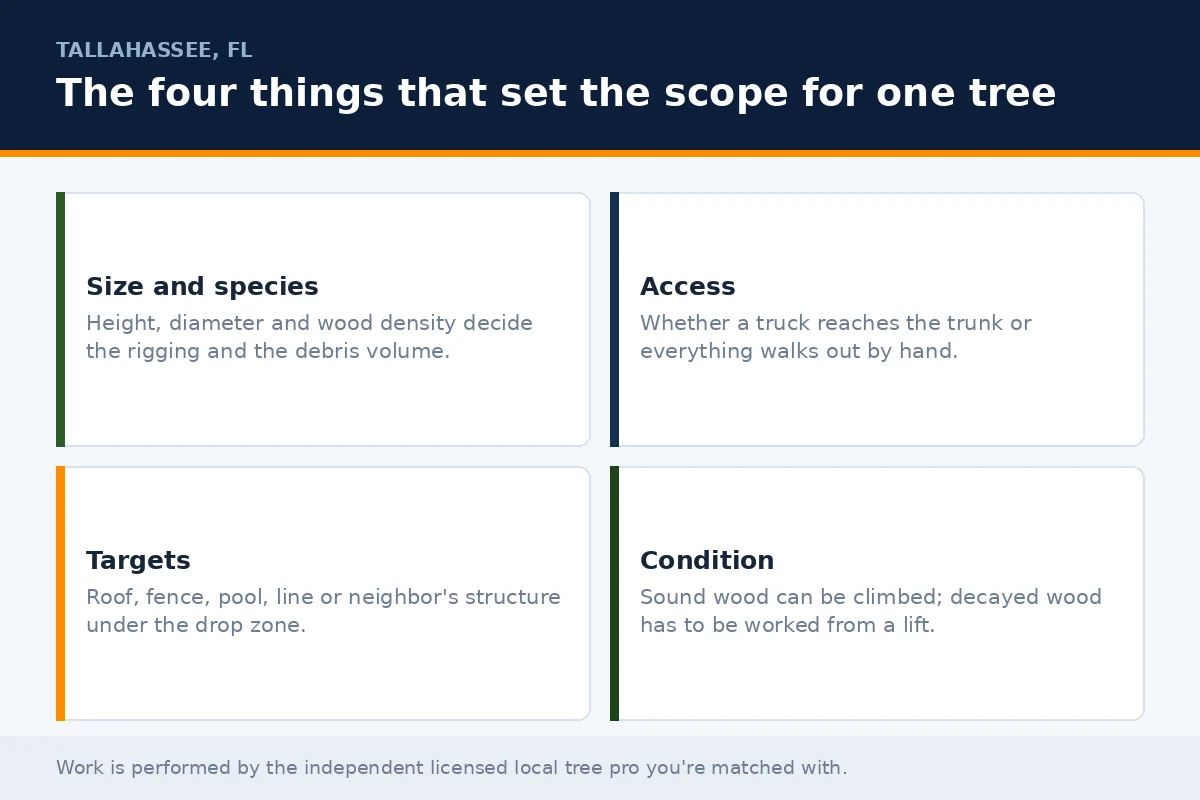 Tree Service Cost Per Tree Tallahassee — What Drives the Number - Tallahassee Tree Service Four-cell panel of the scope drivers behind per-tree pricing in Tallahassee FL: size and species, site access, targets under the canopy and wood condition