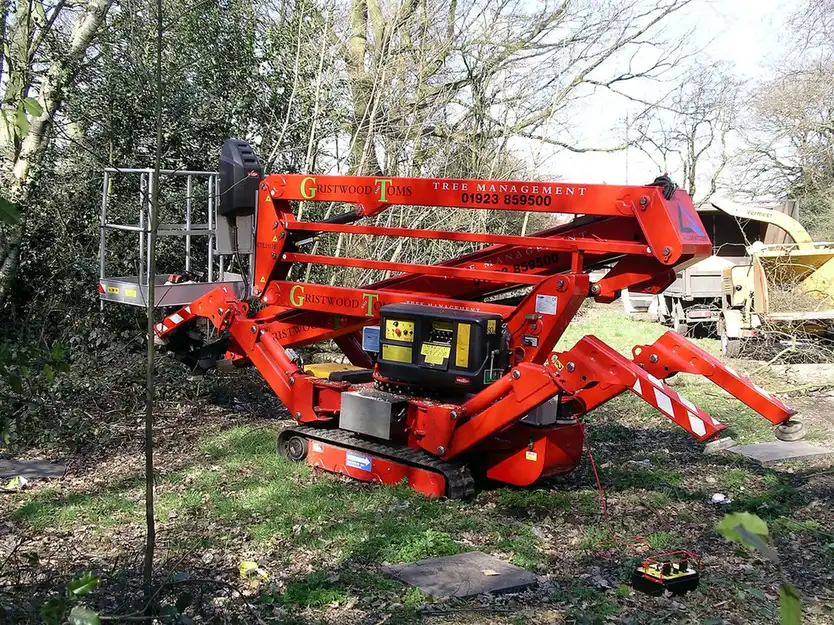 Tree Trimming Cost in Tallahassee — What Affects the Price - Tallahassee Tree Service Aerial lift positioned for canopy trimming, one of the access factors that affects trimming scope in Tallahassee, FL
