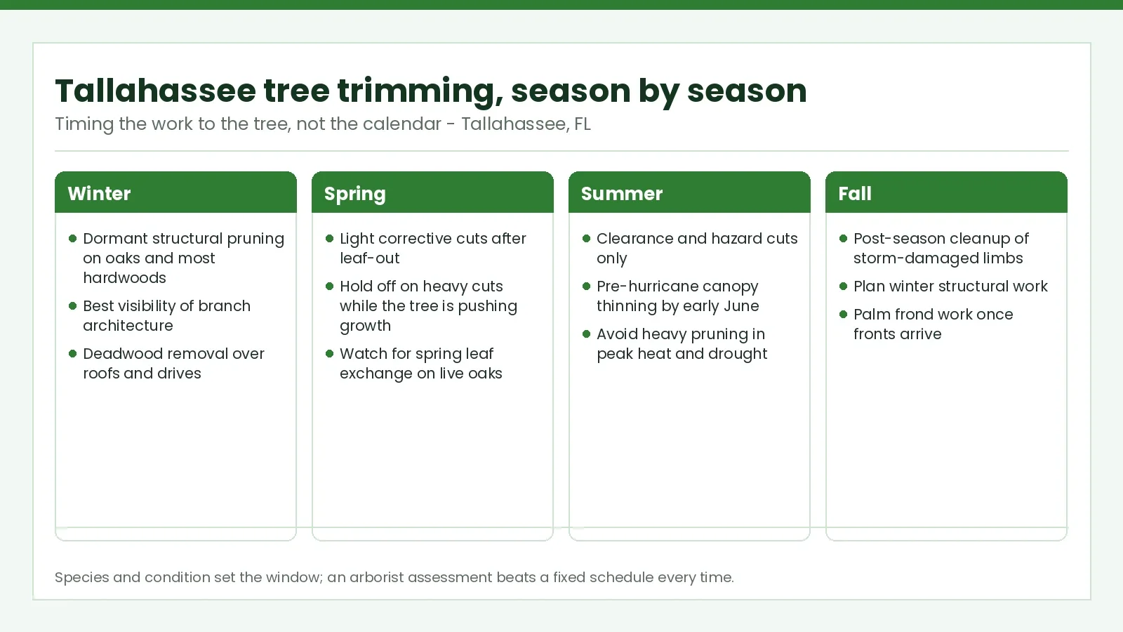 Tree Trimming Schedule for Tallahassee Homes — Season by Season - Tallahassee Tree Service Season-by-season tree trimming calendar for Tallahassee, FL, from dormant winter pruning to fall cleanup