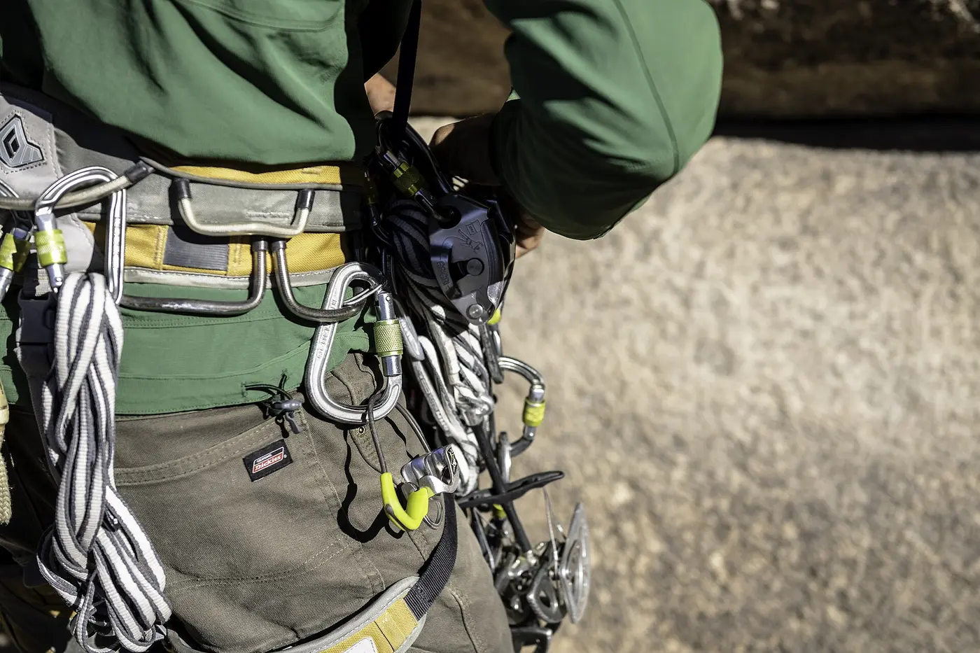 How We Vet Tallahassee Tree Pros - Tallahassee Tree Service Climbing harness and rigging hardware worn by a certified arborist, part of the credential check behind every licensed local tree pro match in Tallahassee, FL