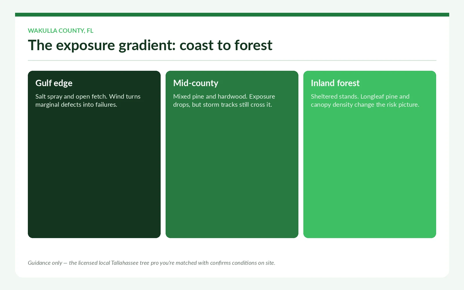 Coast-to-forest tree exposure gradient across Wakulla County, Florida
