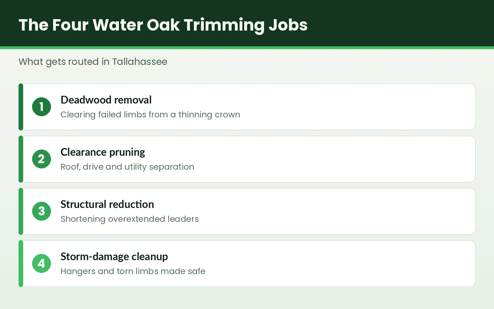 Graphic showing the four types of water oak trimming work routed in Tallahassee, Florida