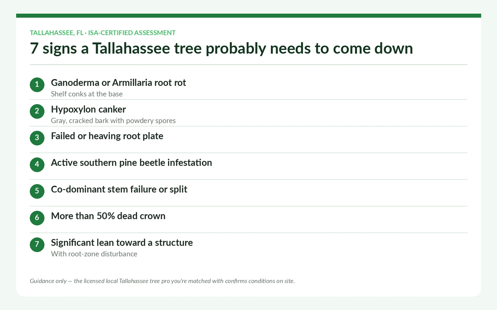 When to Remove a Tree in Tallahassee — 7 Signs It Should Come Down - Tallahassee Tree Service The seven tree removal warning signs an ISA-certified arborist checks first in Tallahassee, Florida